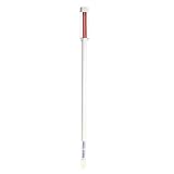 Westland 732158 Gießanzeiger groß, 26 cm, weiß – Pflanzen Gießmelder, Wasserbedarf-Anzeige für Pflanzen in B