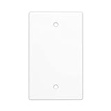 Weiße Blanko-Gerätewandplatte, Größe 1-fach, 11,4 x 7 cm, Polycarbonat Thermoplast, elektrische Abdeckungen für ungenutzte Steckdosen/Schalter