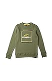 O'Neill Boy's All Year Crew Sweatshirt, Deep Lichen Green, 164