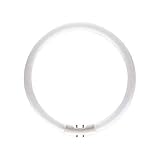 Philips Master Tl5 Circular Energy Saving Glühbirne, 40W, Warmweiß