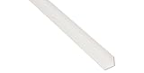 BawiTec PVC-Kunststoff-Winkelprofil 100x100mm 200cm weiß Kunststoffwinkel