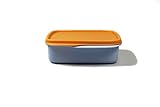 Tupperware to Go Lunchbox Clevere Pause 550 ml orange hellblau mit Trennwand