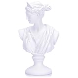 LCCCK Weiße Aphrodite-Büste, Statue, klassisch, griechische Mythologie, römische Venusgöttin, Skulptur, Regale, David ästhetische Dekoration für kleine Statuen, Bücherregal, Raumdekoration, Büste,