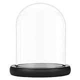 Belle Vous Glasglocke Deko mit Schwarzem Holzsockel - 19,5 cm Hoch - Klare Dekorative Glocke aus Glas mit Tablett für Lichterketten, Tafelschmuck und Antiquitäten