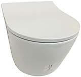 TOTO RP Wand WC Toilette Tornado Flush spülrandlos CW552Y + WC Sitz RP TC513Q