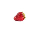 20 Ostara Erdbeerpflanzen - Frigo Pflanzen - Immertragend - Pflanzzeit: März/April - Ernte: Juli bis Oktober - Erdbeersetzlinge/Erdbeerstecklinge - Erdbeeren von Erdbeerprofi.de