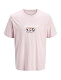 JACK&JONES Herren Jorbushwick Tee Ss Crew Neck FST T-Shirt, Fairy Tale, M