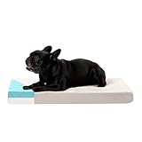 ZENAPOKI Hundebett - M - Orthopädisches Hundekissen für Hunde, Gut die Gelenke - Waschbar Abnehmbare Bezug, 80x50x9cm