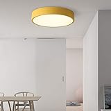 Avior Home 18W LED Deckenlampe Deckenleuchte'Pastell' Tageslicht, Gelb Ø30 cm für Wohnzimmer, Schlafzimmer, Küche