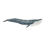 schleich 14806 Blauwal, für Kinder ab 3+ Jahren, WILD LIFE - Spielfig