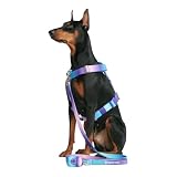 Spark Paws No-Pull Dog Harness - Designed for Safety and Control, Ideal for Large, Strong Breeds - Pitbulls, Boxers - 90s Retro, S