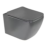 i-flair WC Cube Wand Toilette spülrandlos inkl. WC Sitz mit Softclose Absenkautomatik + abnehmbar - Grau