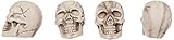 Boland 74390 - Totenkopf-Set, 12 Stück, Größe 4 x 3 cm, Skelett, Sensenmann, Dekoration, Halloween, Mottoparty, Karneval