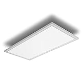 IMPTS LED Panel Flach Deckenleuchte, 30X60 cm Deckenlampe 30W 2600LM Warmweiss für Büro Küche Badezimmer Wohnzimmer