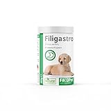 Filipet FILIGASTRO Natürliches Nahrungsergänzungsmittel, hilft Hunden, die Magensäure aufgrund der Einnahme von Kräutern oder Anderen Nahrungsmitteln zu beseitigen. 30 Tabletten.