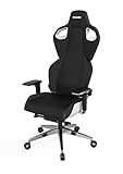 RECARO Exo Platinum Gaming Chair - ergonomischer, höhenverstellbarer Gaming Stuhl der Extraklasse- Black & White
