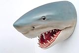 Premium XXL Haikopf lebensgross Shark Fisch Haifisch Hai Deko zum hinstellen oder aufhängen inkl. Spedition