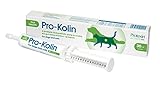Protexin Pro-kolin+ Paste 30ml - Für Hunde und Katzen geeignet