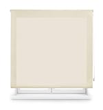 Blindecor Ara | Lichtdurchlässiges Rollo | Beige | 120 x 175 cm (BxH) | Stoffgröße 117 x 170 cm | Rollos fü
