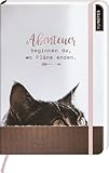 myNOTES Notizbuch A5: Abenteuer beginnen da, wo Pläne enden: Notebook medium, gepunktet | Für Cat Ladies: Ideal als Bullet Journal oder Tageb