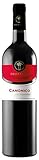 6 x Canonico Salento Rosso IGT tr. 2020 Cantine Due Palme im Sparpack (6x0,75l), trockener Rotwein aus Apulien