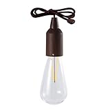 BSTCAR LED Glühbirne Batterie, Pull Light Glühbirne Batteriebetrieben, Tragbare IP44 Wasserdichte Retro Zugschnurbirnen Mobile Dekoration Nachtlicht Innen und Außenb