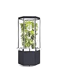 Aerospring 27 Pflanzen Vertikal Hydroponik Indoor Zuchtsystem - patentiertes vertikales Hydroponik-Kit für den Indoor-Gartenbau - Growzelt, LED-Zuchtlichter und Ventilator (Schwarz)