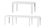 MPS groß praktisch Tisch WENUS 160-300x90x76cm Weiß Matt 4-12 Personen Esstisch mit ausziehbarer Tischplatte auf 300