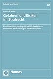 Gefahren und Risiken im Strafrecht: Eine Darstellung der Begriffe und Methoden unter besonderer Berücksichtigung von Risikoklassen (Robotik und Recht 30)