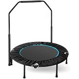 LIFERUN Indoor-Trampolin Ø101cm, Faltbares Fitness-Trampolin, Trampolin für Jumping Fitness, Tragfähigkeit 150 kg, Verstellbare Handlaufhöhe, Ausdauertraining, Verschiedene Personengruppen, B