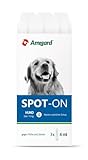 Amigard Spot-On 3er Pack für mittlere Hunde, gegen Zecken und Flöhe, 3X 1 Monat Schutz, pflanzliche Wirkstoffe, ohne Parfüm und Konservierungsmittel, vegan