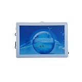 Ozonisator Ozongenerator PH & Redox Wasseraufbereitung Belüftung Aquarium Teich OZ
