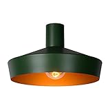 Deckenleuchte Deckenlampe & Deckenlicht Deckenleuchte in Grün CARDIFF IP21 E27 Stahl Wohnzimmer Esszimmer | 1-flammig