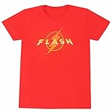 The Flash Movie - Logo