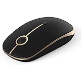 Kabellose Maus, 2 in 1 Wireless USB Mouse + Bluetooth Maus mit 6 leisen Tasten, DPI 1000 /1600 /2400, Kleine Funkmaus für PC, Laptop, Tablet, Handy, Smart TV(Schwarz & Gold)