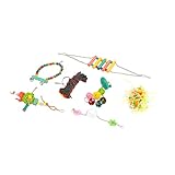 HEEPDD Papageien-Spielzeug-Set Sichere Kletterbrücke, ungiftiges hängendes Vogelspielzeug für Nymphen!