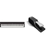 Yamaha P-45B Digital Piano schwarz + M-Audio SP-2 | Universal Sustain Pedal / Dämpferpedal Bundle