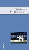 Der Schimmelreiter: Texte, Entstehungsgeschichte, Quellen, Schauplätze, Aufnahme und Kritik (Editionen aus dem Storm-Haus)