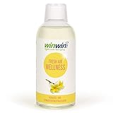 winwinCLEAN - FRESH AIR LUFTREINIGUNGS-KONZENTRAT 'WELLNESS' 500