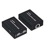 Fangxuee 100M 2 Ports USB 2.0 Extender über RJ45 Cat5e Cat6 Ethernet Netzwerkkabel für Webcam Kamera Maus Drucker EU STECKER