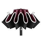 Dasing Winddichter faltbarer Regenschirm für Herren und Damen, automatisches Öffnen/Schließen, Anti-UV-Regenschirm mit 10 Rippen, reflektierende Streifen, C