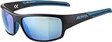 alpina Unisex - Erwachsene TESTIDO CMB Sportbrille, Black matt-Blue, One size
