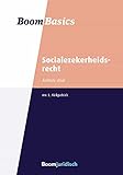 Socialezekerheidsrecht (Boom Basics) (Dutch Edition)