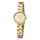 REGENT Damen Uhr GM-2125 Titanband Armbanduhr Titan-Uhren Analog Gold URGM2125 Analoguhr