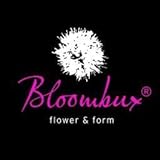 !!WELTNEUHEIT!! Bloombux® – flower & form by INKARHO® 25-30 cm breit im 2 Liter Pflanzcontainer