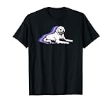 Marvel Hawkeye Disney Plus Lucky Afterimage T-Shirt