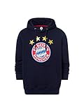 FC Bayern München Hoodie Logo Navy, M