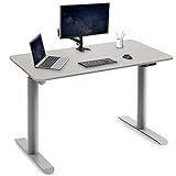 Harmati Höhenverstellbarer Schreibtisch Elektrisch 120x50cm - Gaming Tisch Höhenverstellbar Tischgestell mit Motor, Computertisch mit Memory Funktion (Grau)