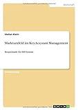 Marktumfeld im Key Account Management: Beispielmarkt für ERP-Systeme