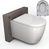 BERNSTEIN® Spülrandloses Wand-WC B-8030R mit Nano-Beschichtung und SoftClose-Deckel (Absenkautomatik), Toilette aus Sanitärkeramik mit abnehmbaren WC-Sitz, Tiefspül-WC, D-Form, WC mit LED-Deckel